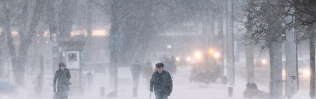 Pühapäeval tuiskab ja sajab lund