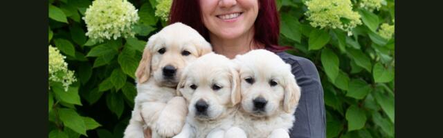 Tõukoera kutsikas võib maksta üle 2500 euro. Mis tõstab hinna nii kõrgeks?