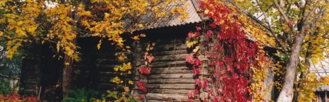 Sünoptik Taimi Paljak: Venemaalt tuleb meile võimas kaitse