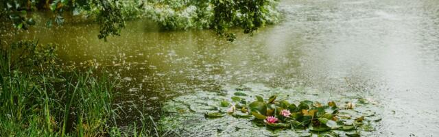 Juulikuu möödus Eestis jahedalt ja sajuselt