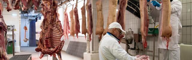 Turg rahunes: veiseliha tootjad rõõmustavad, seakasvatajad mitte