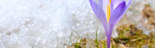 2.–8. märts toob muutusi: vaata, mida nädal sinu tähemärgile toob