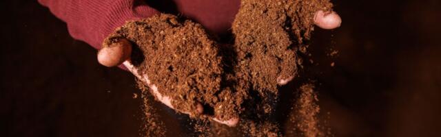 Eksperdid: teadusuuringud ja uued tehnoloogiad tagavad Eesti turba jätkusuutliku väärindamise