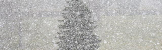 ILMATEADE | Maa saab jälle valgeks, sajab lund ja lörtsi