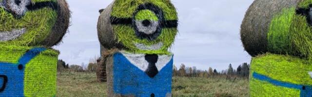 Anijal Kuusemäe külas tervitavad ülilahedad minionid