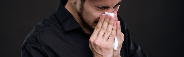 Koroonaviirus Eestis, 17. november: lisandus 186 positiivset testi