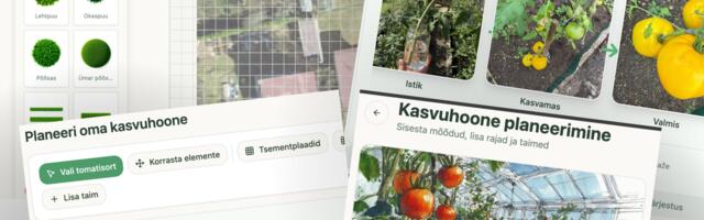 Loovjuhist asutajaks: Ester Vaitmaa näeb, et vaibkoodimine purustab koodikirjutamise barjääri