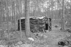 Mälestused tulevad tagasi