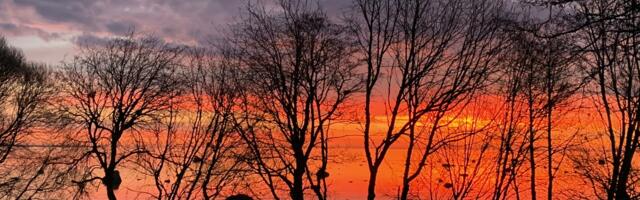 Kaarel Zilmer NÄDALA FOTO