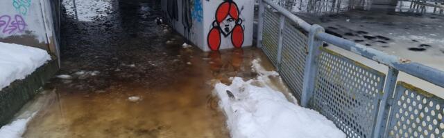 FOTOD | Emajõgi tungib Tartus kõnniteele