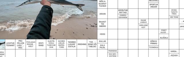 RISTSÕNA | 30.01.2025 (7)