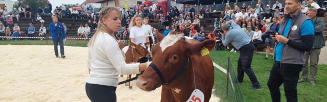 Eesti punase tõu aretuseks kaasatakse väliseksperte