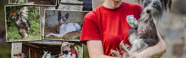 SARVE TALU SULGES UKSED! Perenaine: pärast mehe surma teadsin, et üksi ma sellega ei jätka