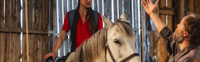 ARVUSTUS | „Dora Mia“. Naeratav saatan ja hobune, kes ei tule kordagi rollist välja