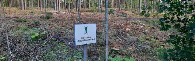 RMK metsaandmetesse lisandus looduskaitsetööde ülevaade