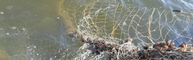 Keskkonnaamet tragib taas Peipsi järvel võrke