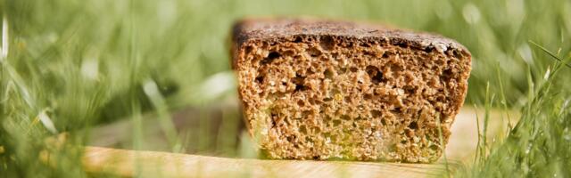 Tootjad taotlevad nimetusele «Eesti rukkileib» geograafilist tähist