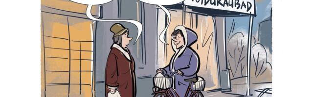 KARIKATUUR | Raha maitse