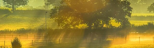 Päevahoroskoop : laupäev, 26. juuli