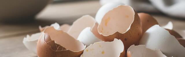 Ära viska munakoori minema: pane need ahju ja vaata, mis juhtub poole tunniga