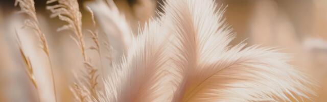 19. märtsi noorkuu toob õnne ja uusi võimalusi – 3 tähemärki on eriti soositud