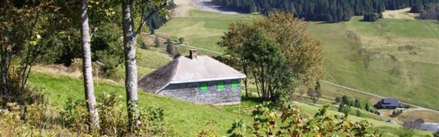 Suitsu nurk II  – Paul Celani „Todtnauberg“