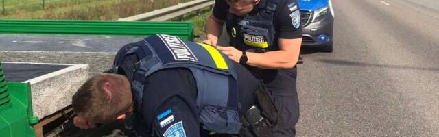 Полиция может уничтожить копию лихулаского памятника