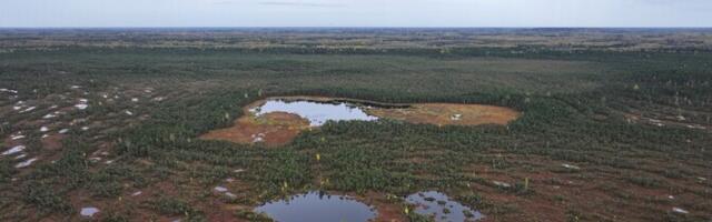 Alutaguse rahvuspargi võimalik laienemine on jäänud venima
