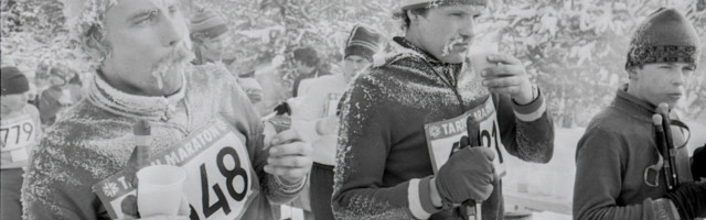 Fotolugu: julge suusahundi vunts on härmas