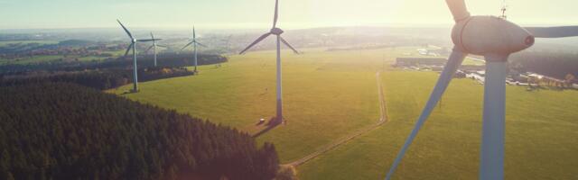 Keskkonnaeesmärgid jäävad täitmata: Riigikontroll juhib tähelepanu vastuolulisele rahakasutusele