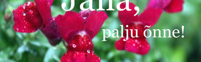 ET OLEKS JULGUST ELADA!