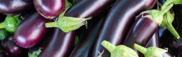 VIDEO ⟩ Lätis pahandas vanemaid lasteaias ringi keksinud mees, kes kandis kubemepiirkonnas fallost meenutavat eset