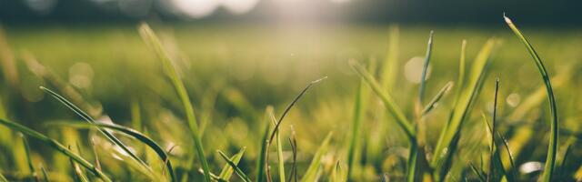 Nädala lõpuks kerkivad õhusooja maksimumid 22 kraadini