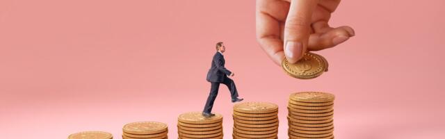 Viimsi vallajuhte ootab aprillis taas kopsakas palga ning esindustasude tõus