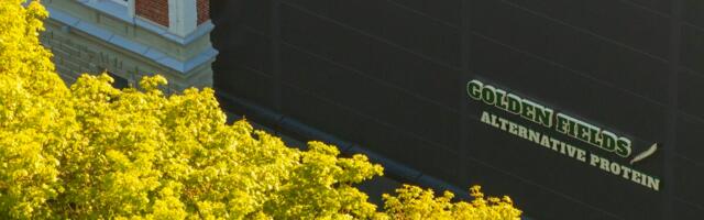 Golden Fields investeeris 16 miljonit taimse valgu tootmisesse