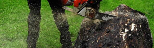 LOOduse LOOdu LOOmingus – TEINE RAHVUSVAHELINE MAASTIKUKUNSTI SÜMPOOSIUM