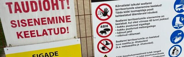 Nurme farmi sead lähevad ikkagi hukkamisele