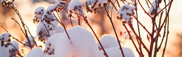 Päevahoroskoop : laupäev, 10. jaanuar