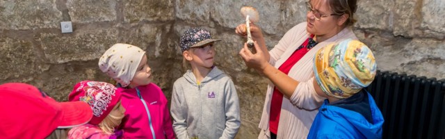 Muuseum tähistab seenekuud seenenäituse ja metsaretkedega