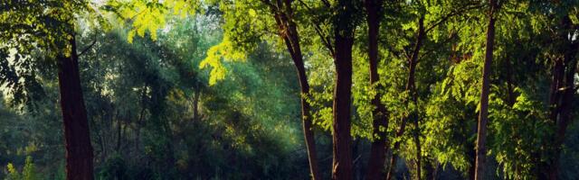 Riik toetab roheülemineku ja biomajanduse arendamist