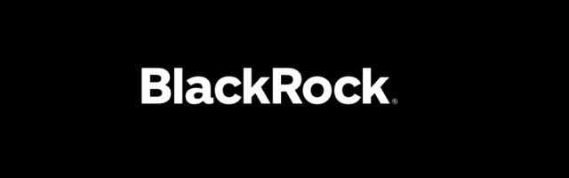 BlackRock juht hoiatab maailma majanduse huku eest