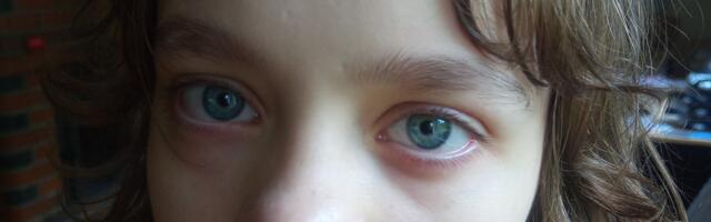 Politsei palub taas abi selgitamaks 13-aastase Arabella asukohta