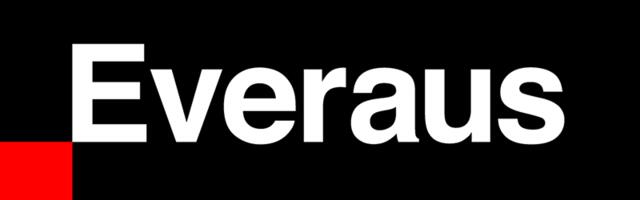 Everaus Kinnisvara otsib Sind, pühendunud ja initsiatiivikas RAAMATUPIDAJA