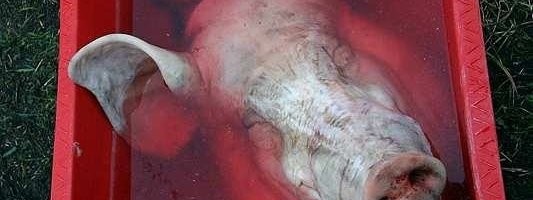 Islami keskuse ja kahe saatkonna juurde sea pea viinud mehe suhtes alustati väärteomenetlust