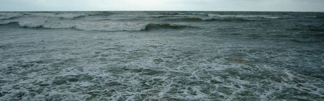 Loodusteadlane: maailm on praegu puhtam, aga selliseks see ei jää