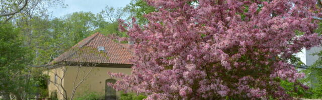 AJALOOKILLUD | Hüvastijätt Suuremõisa aiaga