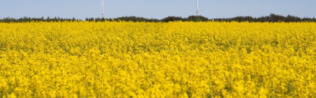 Uus seadus kaitseb tulevikus ebaausate kaubandustavade eest