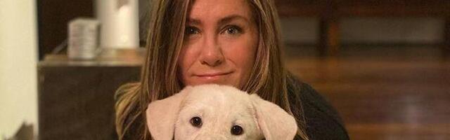 Käes on koroonakoerte aeg