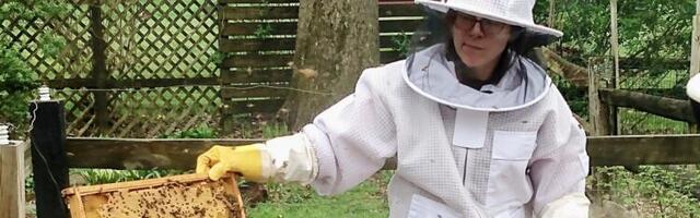 Beekeeping on Gooseberry Farm