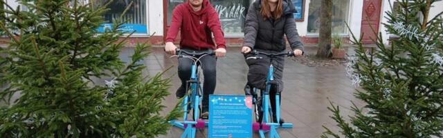 В Курессааре придумали необычный способ зажигать гирлянды на рождественских елочках